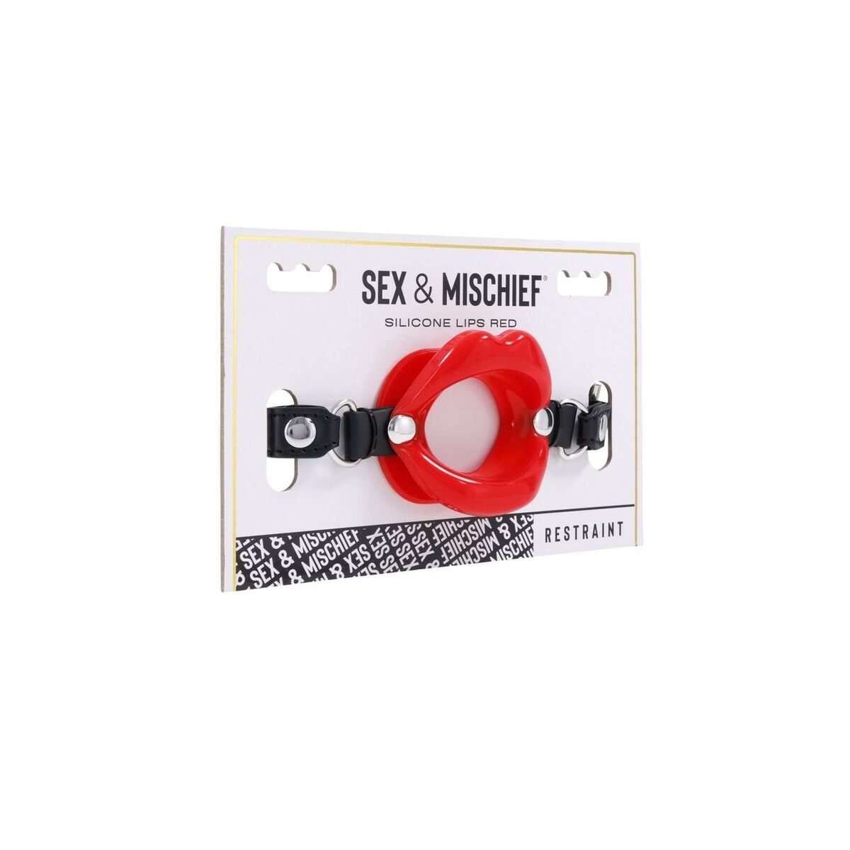 Mouth Gag Sex & Mischief