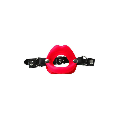 Mouth Gag Sex & Mischief
